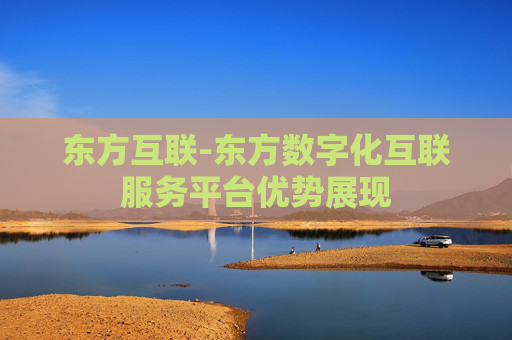 东方互联-东方数字化互联服务平台优势展现
