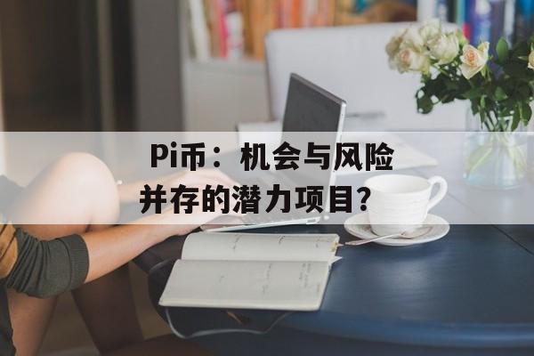  Pi币：机会与风险并存的潜力项目？