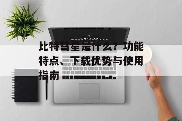 比特彗星是什么？功能特点、下载优势与使用指南